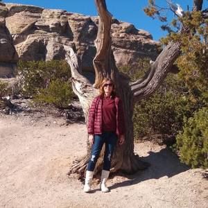 Meet your Posher, Bruce